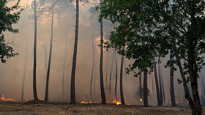 Evacuations ordered in Bordeaux suburbs as wildfires continue to ravage southern Europe