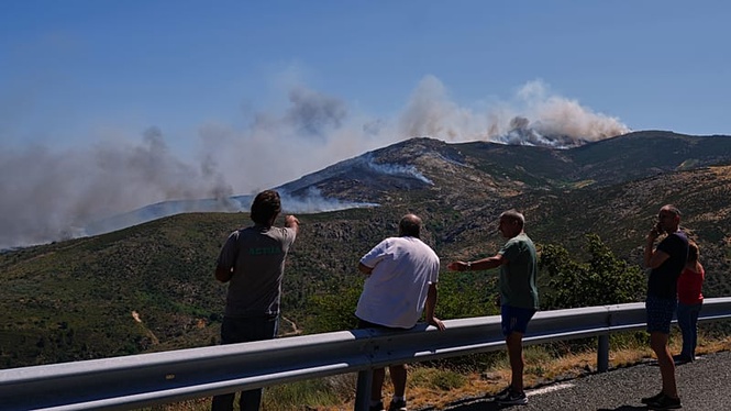 Wildfire smoke: A health emergency beyond the flames, WHO warns