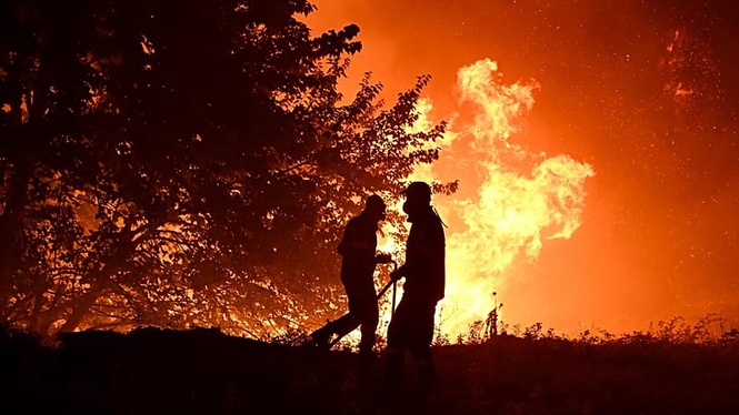 What should the EU prioritise to tackle wildfires? Take our poll