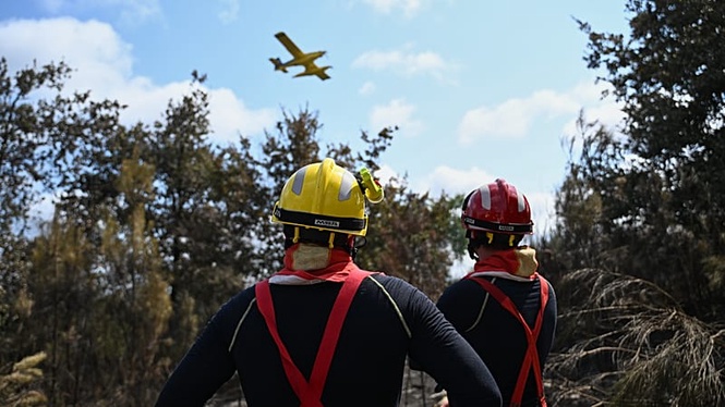 Wildfire burns 100 hectares near Narbonne in France