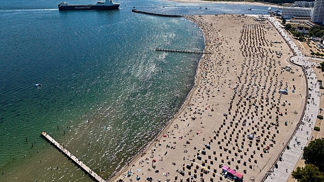 Toxic blue-green algae confirmed in Baltic Sea: avoid these waters