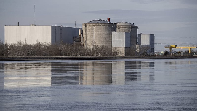 Jellyfish surge forces EDF to shut three reactors at Gravelines nuclear plant