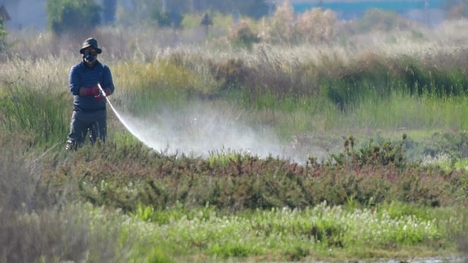 West Nile virus surge in Greece with Attica at the epicentre