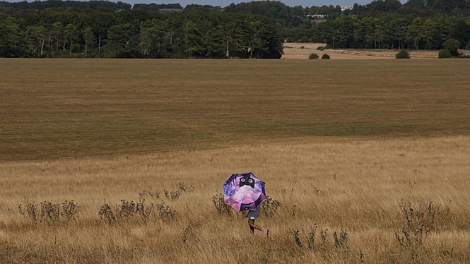Around 41% of people who saw UK government heat alerts took no action, study finds