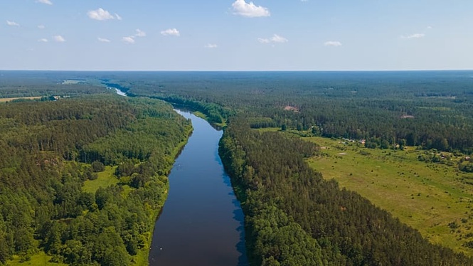 Russian man who swam from Kaliningrad to Lithuania in asylum attempt sentenced to six years hard labour
