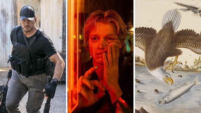 Body horror and 'Becoming America': The best things to do, hear, see or watch in Europe this week