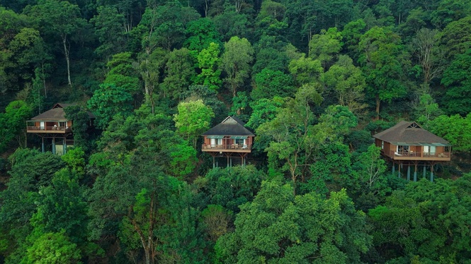 Book the best Coorg coffee resorts in India