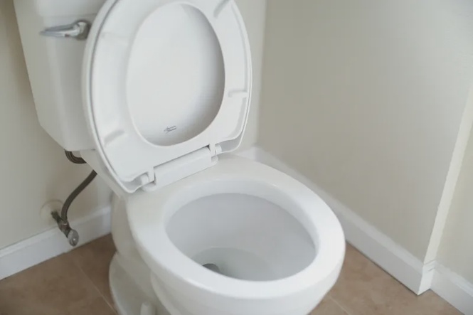 Image from: Science Explains: How Flushing Your Toilet Launches Germs 163cm Into the Air