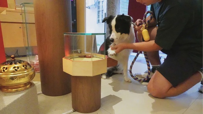 Image from: How Taiwan's Divination Blocks Work, and How Dogs Use Them