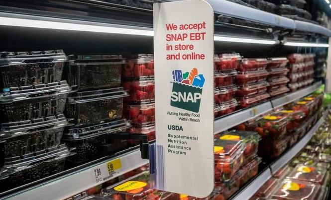 Image from: SNAP Participation Plunges Across America, One State Saw a 50% Drop