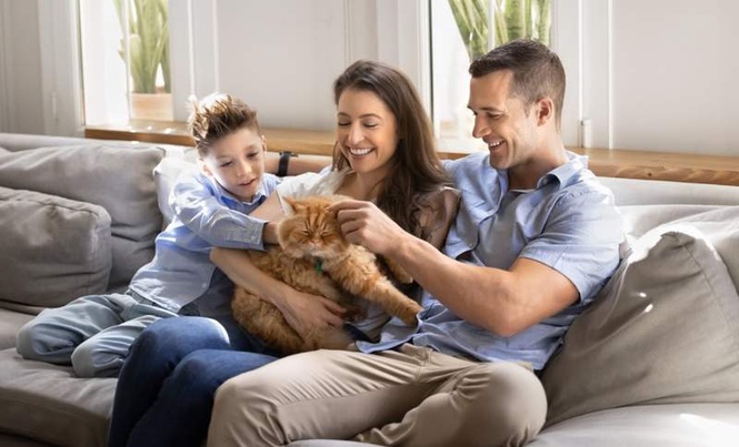 Image from: Pet Parents Could See $900 Back in Their Pockets Under New Law