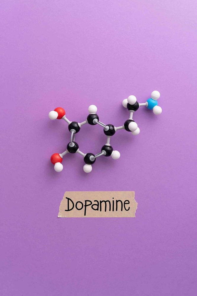 Image from: Dopamine menus: can small pleasures help us get unstuck?