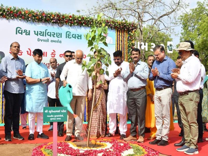Image from: World Environment Day: Gujarat Chief Minister launches state-wide "Ek ped maa ke naam 3.0" campaign