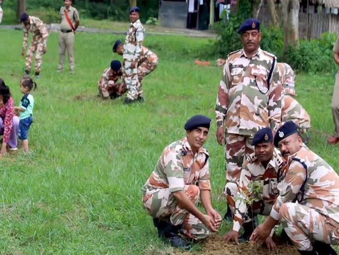 Image from: MHA plants over 5 lakh saplings nationwide; targets 7 crore trees under afforestation drive in 2026