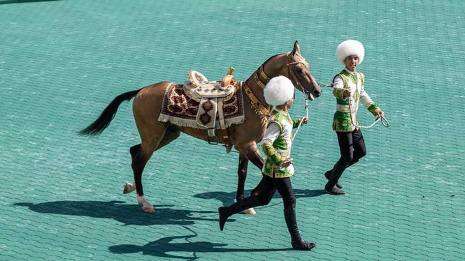 Image from: Turkmenistan's 'heavenly' Akhal-Teke horses celebrated in annual beauty pageants