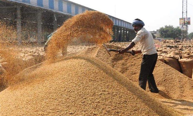 Image from: Haryana govt mulls one-time settlement scheme for defaulting rice millers