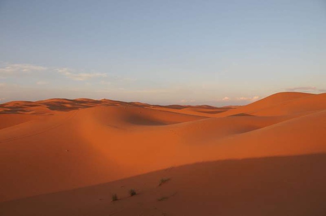 Image from: 49 die of thirst after truck breaks down in Sahara in northern Niger