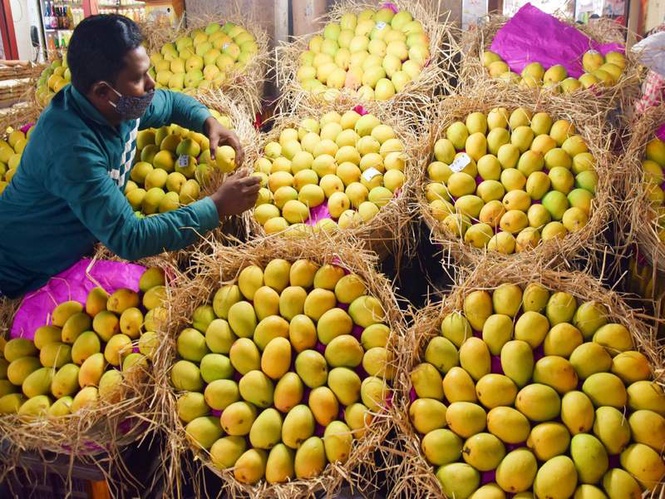 Image from: Air India's 'Mango Express' takes flight: Premium Indian mangoes head to global markets from Mumbai