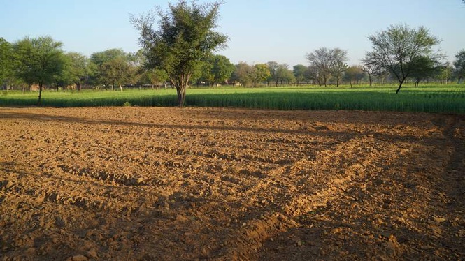 Image from: Over 2.19L panels to check fake agri products under Khet Bachao Abhiyan