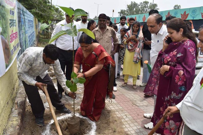 Image from: Thousands of saplings planted across Karnal on World Environment Day