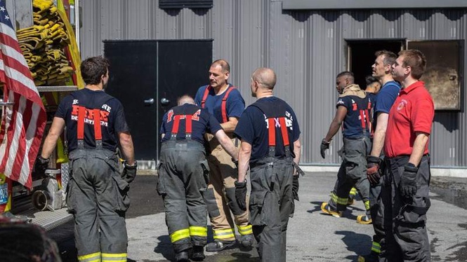 Image from: Daring rescue as firefighters save a stray dog trapped under a bridge