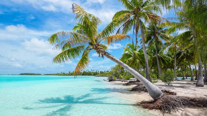Image from: From Australia to Hawaii, these are the 10 most pristine beaches in the world (be ready to step into another world)