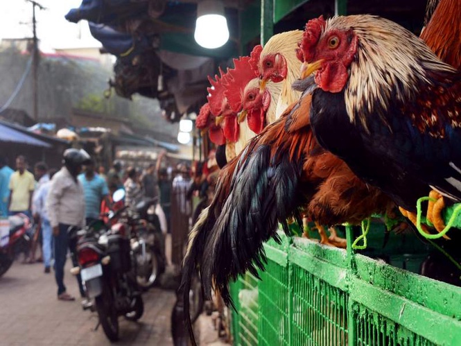 Image from: Varanasi Municipal Corporation moves to relocate meat, fish markets in phased manner