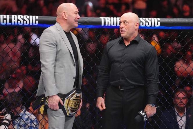 Image from: Dana White goes nuclear on Joe Rogan’s “gimmick” comment; His Alex Pereira verdict will shock you
