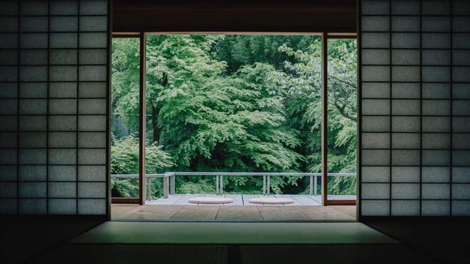 Image from: In Japan, this chef — who’s got 3 Michelin stars — forages his own ingredients in the mountains (it’s a truly extraordinary experience)