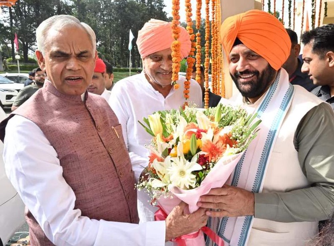 Image from: Haryana to frame policy for natural farming on Panchayat land: CM Saini