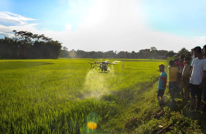Image from: Himachal’s pesticide trap: Experts warn of mounting health & ecological crisis