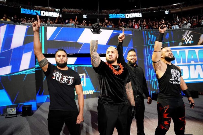 Image from: WWE superstar risks following in Chris Jericho’s unwanted footsteps during WWE Live event in Italy