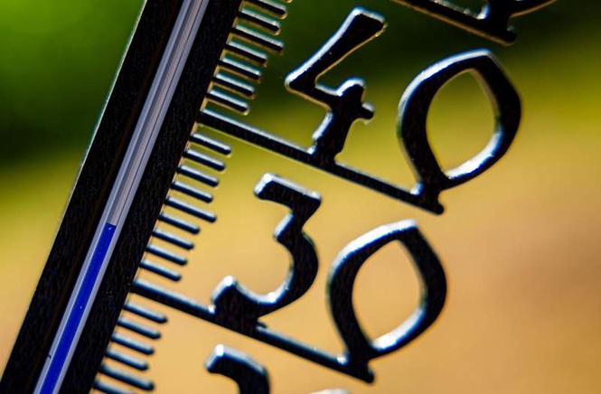 Image from: UN climate agency warns of extreme heat during the World Cup