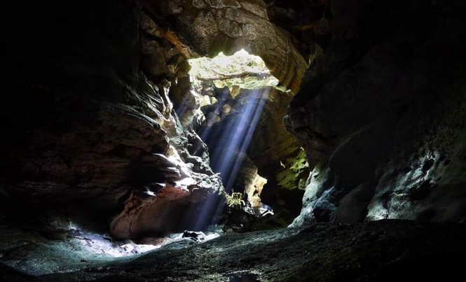 Image from: Scientists Discovered a Bizarre Insect Deep Inside a Greek Cave, and It Was Unlike Anything They Expected