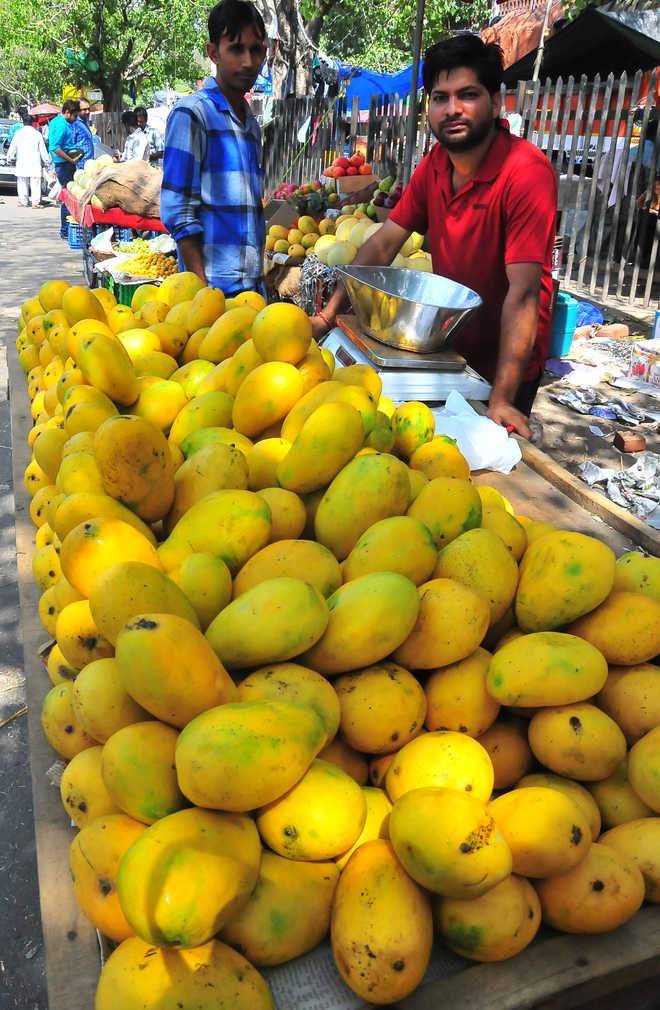 Image from: Use of hot water, salicylic acid preserves post-harvest quality of mangoes, increases shelf live: Study