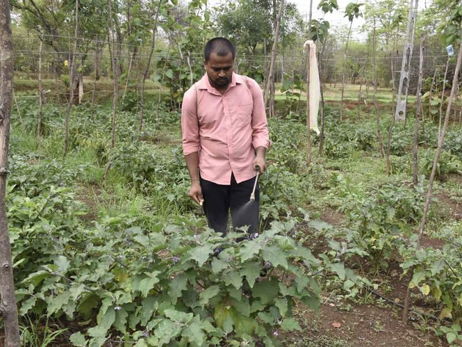 Image from: 'Pradhan Mantri Kisan Samman Nidhi Yojana' becomes an economic lifeline for 69 lakh farmer families in Gujarat