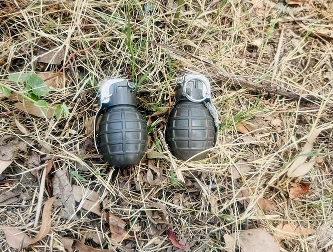 Image from: Two linked to cross-border terror module held with hand grenades from Khasa area