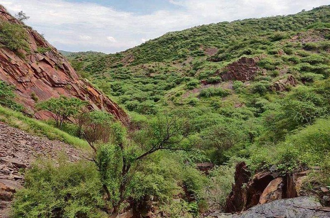 Image from: Aravalli safeguards NCZ set to stay in Regional Plan 2041