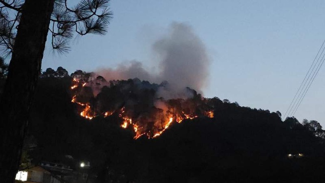 Image from: Kasauli forest fires rage amid 32°C heatwave