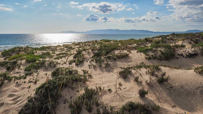 Image from: In Portugal, this elegant seaside town with endless beaches is fittingly nicknamed the ‘Hamptons of Europe’