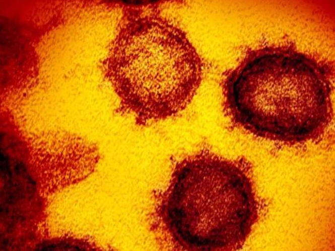 Image from: The shield before the arrow: Researchers unveil AI-driven 'Universal Vaccine' to pre-empt next pandemic