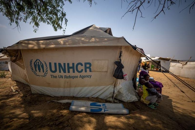 Image from: UN: Global refugee count falls but concerns remain over forced returns