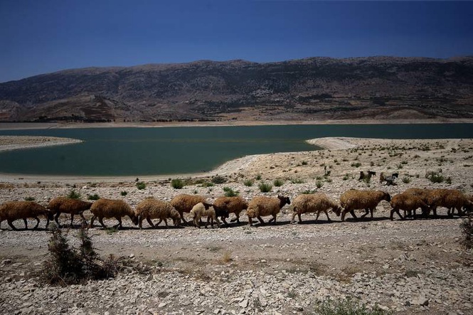 Image from: Saudi Arabia reopens market to Lebanese imports after five years