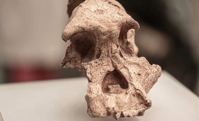 Image from: A Crushed 1-Million-Year-Old Skull Found in China Could Prove Humans Split Into Distinct Groups Far Earlier Than Expected