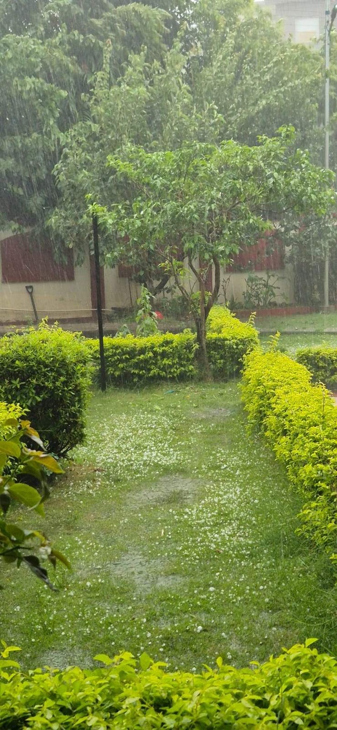 Image from: Hailstorm, snowfall disrupt life across Palampur region