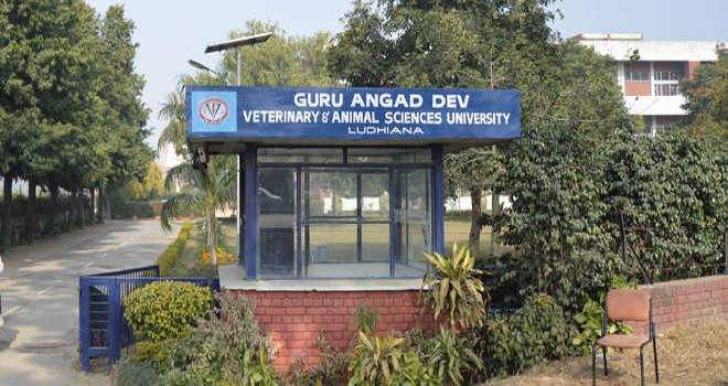 Image from: GADVASU secures Rs 1.55 crore grant for mobile feed and milk testing laboratory