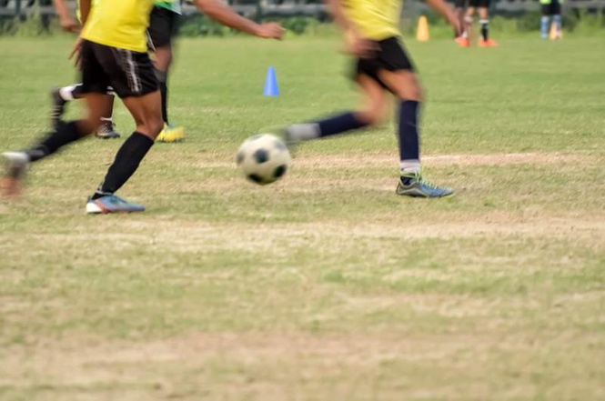 Image from: 11 sports nurseries shut down across Haryana for violating norms