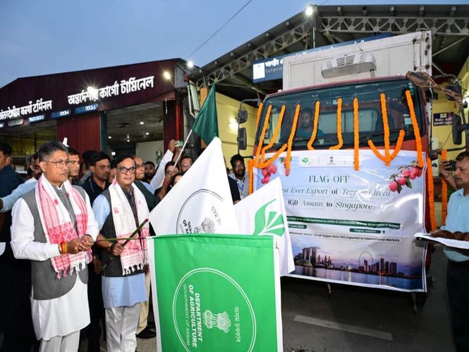 Image from: Assam CM flags off international consignment of GI-tagged Tezpur litchis to Singapore