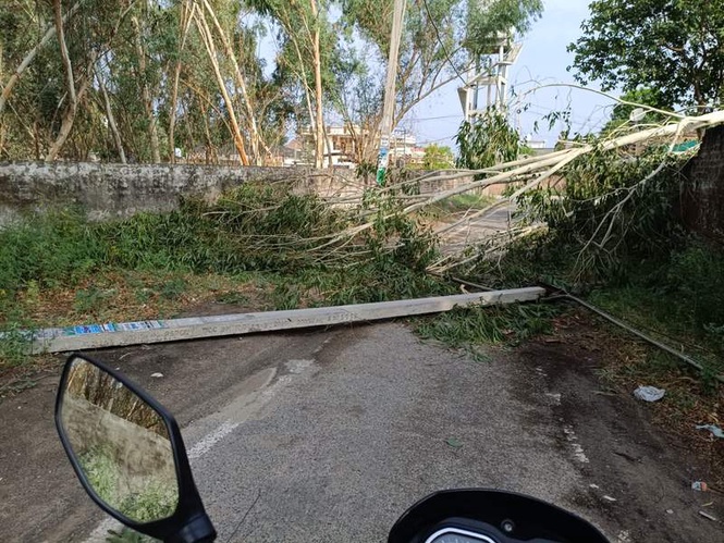 Image from: Storm causes Rs 1.25 cr loss to PSPCL in Doaba