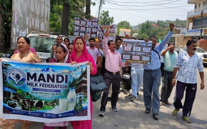 Image from: Dairy farmers protest over procurement limits, payment delays